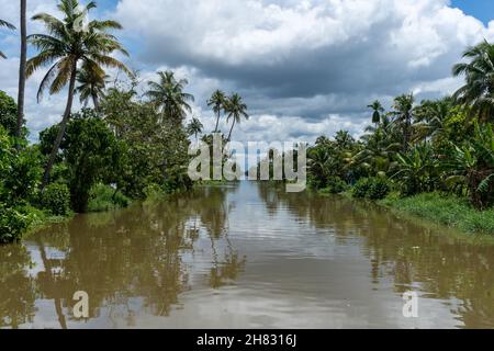 Coconut Lagoon, Kerala Backwaters, Indien Stockfoto