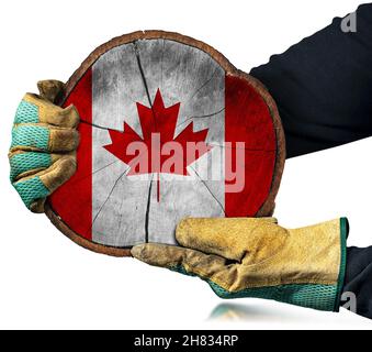 Hände mit schützenden Arbeitshandschuhen, die einen Querschnitt eines Baumstamms mit der kanadischen Flagge auf der Oberfläche halten, isoliert auf weißem Hintergrund. Stockfoto