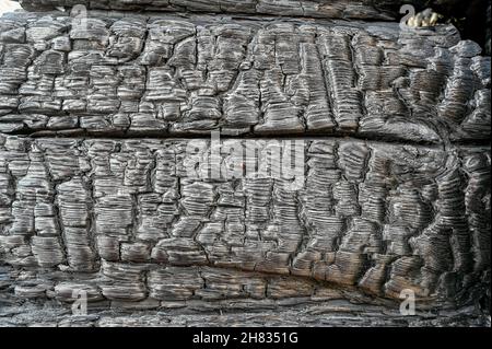 Wir haben am Rastplatz in der Nähe des Sees Windbreak hinuntergefahren Stockfoto