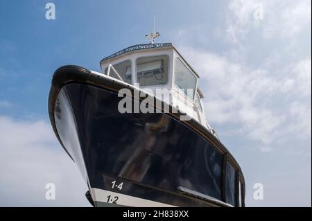 Die „Frohe Botschaft VI“, ein Boot, das Passagiere auf Reisen zu den Farne-Inseln vom Hafen Northumberland in Seahouses befördert Stockfoto