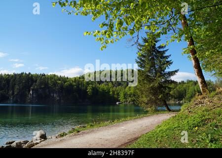 Wunderschöner smaragdgrüner Alpsee in den deutschen Alpen in Hohenschwangau bei den Schlössern Hohenschwangau und Neuschwanstein, Allgau, Bayern, Deutschland Stockfoto