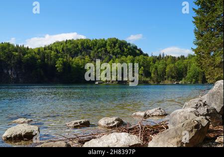 Wunderschöner smaragdgrüner Alpsee in den deutschen Alpen in Hohenschwangau bei den Schlössern Hohenschwangau und Neuschwanstein, Allgau, Bayern, Deutschland Stockfoto