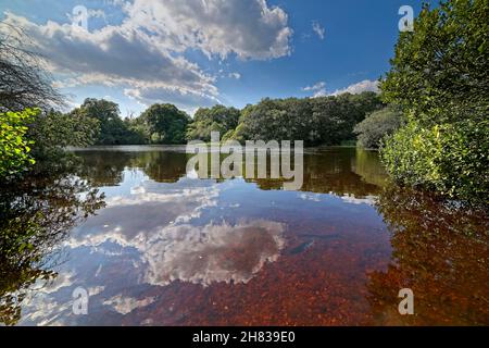 Ruhiges Wasser des Eyworth Pond Stockfoto