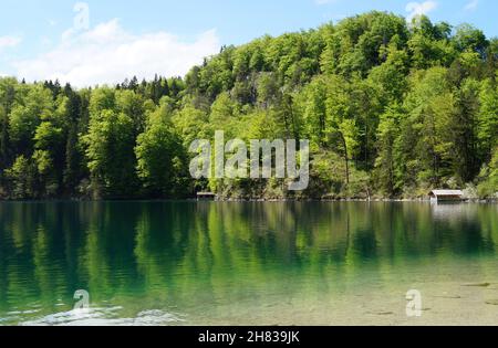 Wunderschöner smaragdgrüner Alpsee in den deutschen Alpen in Hohenschwangau bei den Schlössern Hohenschwangau und Neuschwanstein, Allgau, Bayern, Deutschland Stockfoto