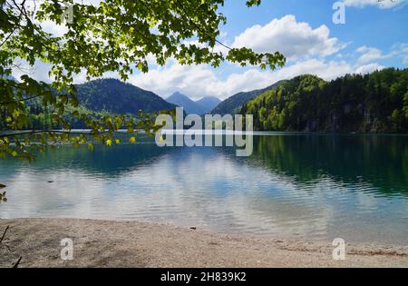 Wunderschöner smaragdgrüner Alpsee in den deutschen Alpen in Hohenschwangau bei den Schlössern Hohenschwangau und Neuschwanstein, Allgau, Bayern, Deutschland Stockfoto