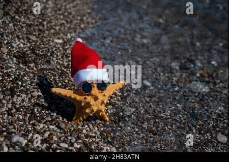 Seesterne in weihnachtsmannhut und Sonnenbrille an einem Kiesstrand am Meer. Stockfoto