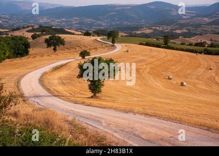 Ländliche Landschaft mit gewundener Straße zwischen Bauernhöfen in der Landschaft Stockfoto