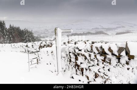 Hawes, North Yorkshire, November 27th 2021 - Sturm Arwen schlug die Yorkshire Dales über Nacht mit Wind und Schnee, wobei viele hohe Straßen vom Schnee abgeschnitten waren. Yorkshire Dales, Großbritannien. Quelle: Wayne HUTCHINSON/Alamy Live News Stockfoto