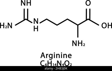 Arginin-Molekülstruktur. L-Arginin-Skelett-chemische Formel. Vektordarstellung der chemischen Molekülformel Stock Vektor