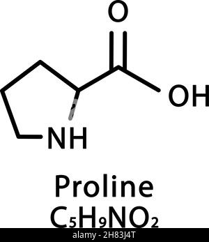 Proline-Molekülstruktur. Proline Skelett chemische Formel. Vektordarstellung der chemischen Molekülformel Stock Vektor