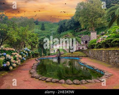 Azoren, Portugal. Dies ist der Parque Natural da Ribeira dos Caldeiroes Botanical Garden, ein geschütztes Gebiet in der Gemeinde Achada. Stockfoto