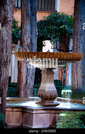 Garten von Daraxa in La Alhambra in Granada, Spanien. Stockfoto