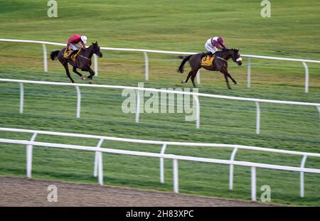 Winds of Fire, die von Jockey Adam Wedge auf dem Weg zum Gewinn der „Limited Handicap Chase“ von Betfair Daily Rewards-Novizen während des Fighting Fifth Hurdle Day auf der Rennbahn von Newcastle geführt werden. Bilddatum: Samstag, 27. November 2021. Siehe PA Story RACING Newcastle. Bildnachweis sollte lauten: Tim Goode/PA Wire. EINSCHRÄNKUNGEN: Die Nutzung unterliegt Einschränkungen. Nur redaktionelle Verwendung, keine kommerzielle Nutzung ohne vorherige Zustimmung des Rechteinhabers. Stockfoto