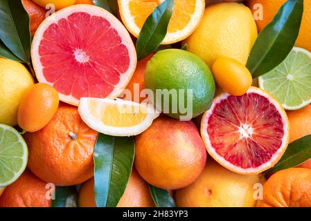 Frische verschiedene Zitrusfrüchte mit Blättern, Orangen und Grapefruits Stockfoto