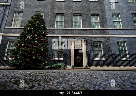 Der Weihnachtsbaum vor der Downing Street 10, Westminster, London. Bilddatum: Samstag, 27. November 2021. Stockfoto