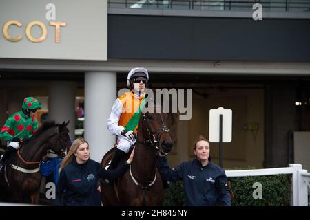 Ascot, Bergen, Großbritannien. 19th. November 2021. Jockey Paddy Brennan auf dem Pferderücken zieht wieder Green geht auf die Rennstrecke in Ascot, um im Ascot Shop National Hunt Maiden Hurdle Race in Ascot zu Rennen. Quelle: Maureen McLean/Alamy Stockfoto