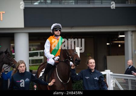 Ascot, Bergen, Großbritannien. 19th. November 2021. Jockey Paddy Brennan auf dem Pferderücken zieht wieder Green geht auf die Rennstrecke in Ascot, um im Ascot Shop National Hunt Maiden Hurdle Race in Ascot zu Rennen. Quelle: Maureen McLean/Alamy Stockfoto