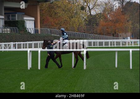 Ascot, Bergen, Großbritannien. 19th. November 2021. Jockey Aidan Coleman auf Pferd Doktor Ken nach dem Gewinn des Ascot Shop National Hunt Maiden Hurdle Race in Ascot. Trainer Olly Murphy, Wilmcote. Besitzer Diana L Whateley. Quelle: Maureen McLean/Alamy Stockfoto