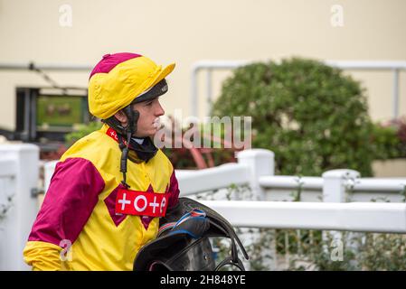 Ascot, Bergen, Großbritannien. 19th. November 2021. Jockey Charlie Hammond nach dem Rennen auf dem Pferd Pilbara. Quelle: Maureen McLean/Alamy Stockfoto