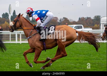 Ascot, Bergen, Großbritannien. 19th. November 2021. Eddimaurice wird von Jockey Robert Dunne im Garden for All Seasons Handicap Hurdle Race gefahren. Quelle: Maureen McLean/Alamy Stockfoto