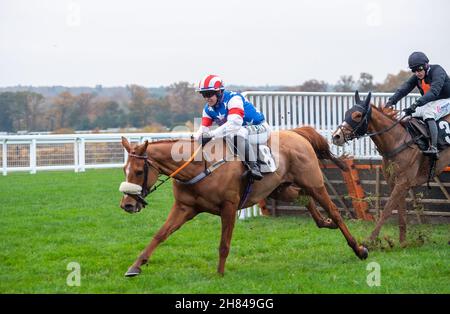 Ascot, Bergen, Großbritannien. 19th. November 2021. Eddimaurice unter Jockey Robert Dunne räumt die letzte im Garden for All Seasons Handicap Hurdle Race. Quelle: Maureen McLean/Alamy Stockfoto