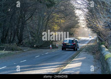 Montrose, Angus, Schottland, Großbritannien Wetter 27th. Nov 2021: Die Nachwirkungen des Sturms Arwen, der an der Ostküste Schottlands mit 90mph Winden stürzten sah, die Bäume entwurzelten, Straßensperrungen, Telekommunikations- und Stromkabel aus Befestigungen gerissen, allgemeine Zerstörung und widrige Fahrbedingungen für Pendler sahen. Kredit: Barry Nixon/Alamy Live Nachrichten Stockfoto