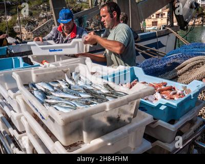 Cala Figuera Mallorca Fischerhafen fangen. Fischerboot fangen am Kai mit Fischern Sortieren Verpackung und Entladen ihrer Fang einer Vielzahl von mediterranen Fischen einschließlich Sardinen und Red Snapper Mallorca Spanien EU Stockfoto