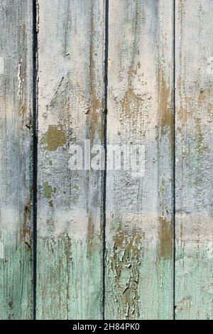 Alte schäbige Vintage-Holzwand, blassblau und grün vertikal gestrichen Stockfoto