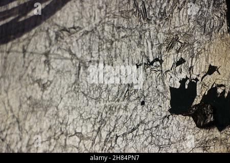Geknackte goldene Farbe auf Leinwand Nahaufnahme modernen Hintergrund hoch Hochwertiger Druck Stockfoto