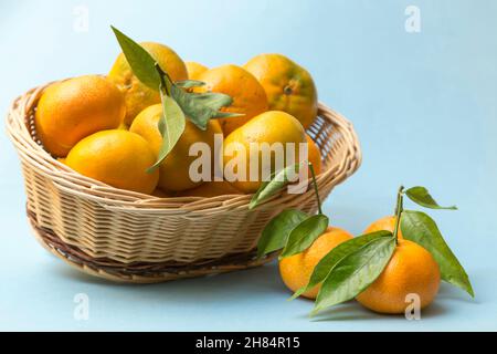 Korbkorb voller Mandarinen, einige sind draußen und alles ist auf blauem Hintergrund platziert Stockfoto