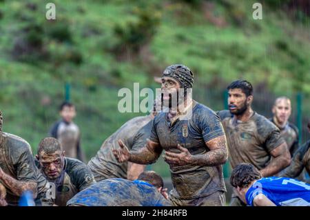 OVIEDO, SPANIEN - Januar 31: Amateur Rugby-spiel zwischen der Real Oviedo Rugby Team vs Crat A Coruna Rugby im Januar 31, 2015 in Oviedo, Spanien. Übereinstimmen Stockfoto