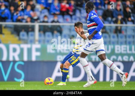 Genua, Italien. 27th. November 2021. GIOVANNI SIMEONE (Verona) während des Spiels UC Sampdoria gegen Hellas Verona FC, italienische Fußballserie A in Genua, Italien, November 27 2021 Quelle: Independent Photo Agency/Alamy Live News Stockfoto