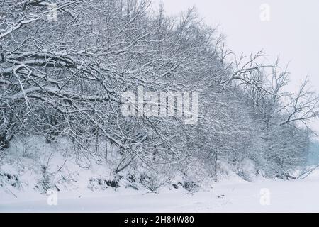 Wald und Bäume am Ufer eines eiskalten Flusses in Schnee und Reif Stockfoto