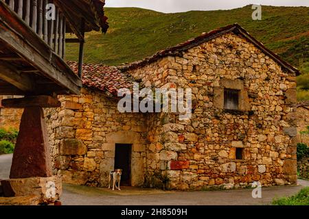 Ländliche Landschaften im Landesinneren von Asturien Stockfoto