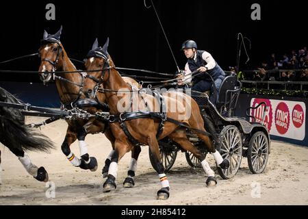 Glenn Geerts, Belgien, während des CAI-W World Cup Competition Driving Event während der Sweden International Horse Show in der Friens Arena in Solna, Stockholm, Schweden, am 27. November 2021. Foto: Erik Simander / TT / kod 11720 Stockfoto