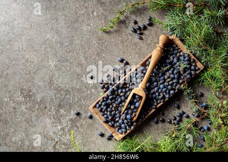 Holzschale mit Wacholdersamen. Draufsicht mit Kopierbereich. Stockfoto