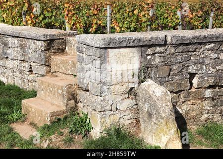 Romanée Conti Weinberge in Burgund, Frankreich Stockfoto