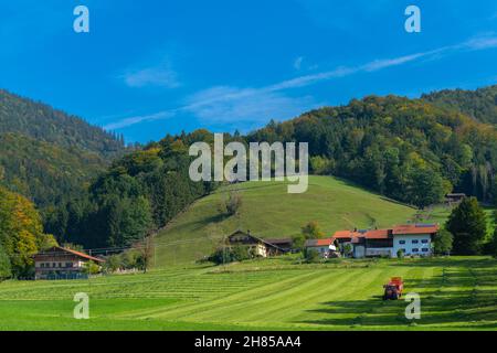 Landwirtschaftliche Landschaft mit Weiden und Wiesen im voralpinen Hochplateau des Chiemgaus, Aschau, Oberbayern, Süddeutschland Stockfoto