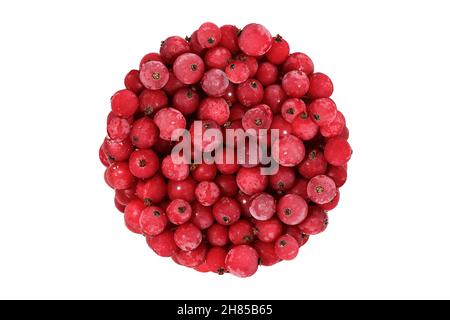 Gefrorene rote Johannisbeere isoliert auf weißem Hintergrund. Ein Bund von natürlichen Beeren in Form eines Kreises. Hochwertige Fotos Stockfoto