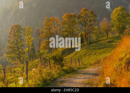 Wanderweg im warmen Oktoberlicht über den Hügeln über Reit im Winkl, Chiemgau, Oberbayern, Bayrischen Alpen, Süddeutschland, Europa Stockfoto