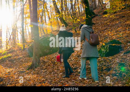 Sonnenstrahlen kommen durch die Bäume und Rückansicht von zwei Frauen gehen im Wald in der Herbstsaison in Sevenlakes Nationalpark (Yedigoller milli Parki), B Stockfoto