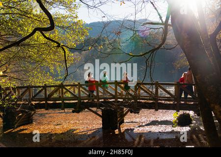 Bolu, Türkei - November 11 2021: Touristen, die sich im Herbst auf der Holzbrücke im Sevenlakes Nationalpark (Yedigoller milli Parki) Vergnügen Stockfoto