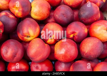 Rote und gelbe Bio-Nektarinen auf dem Markt Stockfoto