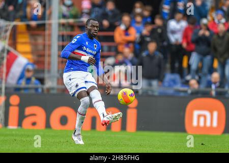 Genua, Italien. 27th. November 2021. OMAR COLLEY (Sampdoria) während des Spiels UC Sampdoria gegen Hellas Verona FC, italienische Fußballserie A in Genua, Italien, November 27 2021 Quelle: Independent Photo Agency/Alamy Live News Stockfoto