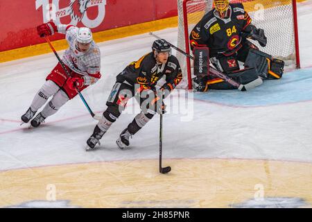 Lausanne, Vaudoise Arena, Schweiz. 27th. November 2021. Lausanne Schweiz, 11/27/2021: Ramon Untersander vom SC Bern (65) ist während des Spiels der Schweizer Nationalliga 2021-2022 mit dem Lausanne HC und dem SC Bern 29th im Einsatz (Bildnachweis: © Eric Dubost/Pacific Press via ZUMA Press Wire) Stockfoto