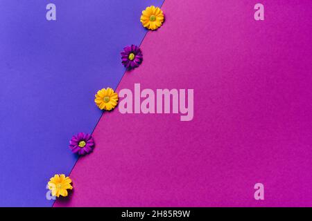 Blumen auf lebhaftem Duoton Hintergrund. Minimales flaches Lay-Konzept Stockfoto