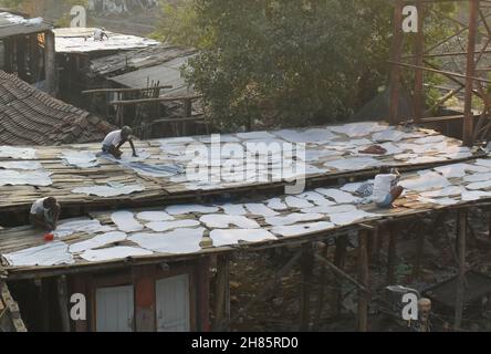 Kalkutta, Westbengalen, Indien. 27th. November 2021. In einer Gerberei in Kalkutta verarbeiten Arbeiter Kuhhäute. (Bild: © Sudipta das/Pacific Press via ZUMA Press Wire) Stockfoto