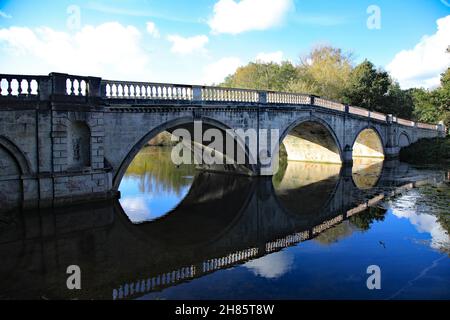 Herbst Im Clumber Park, Nottinghamshire Stockfoto