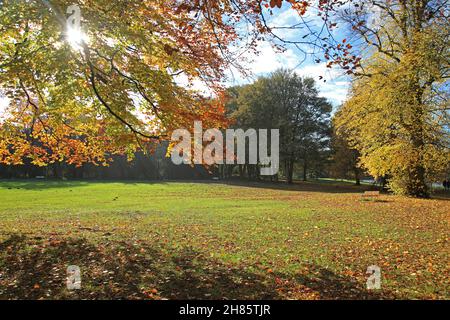 Herbst Im Newstead Abbey Park, Nottinghamshire Stockfoto