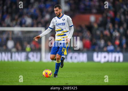 Genua, Italien. 27th. November 2021. FEDERICO CECCHERINI (Verona) während des Spiels UC Sampdoria gegen Hellas Verona FC, italienische Fußballserie A in Genua, Italien, November 27 2021 Quelle: Independent Photo Agency/Alamy Live News Stockfoto